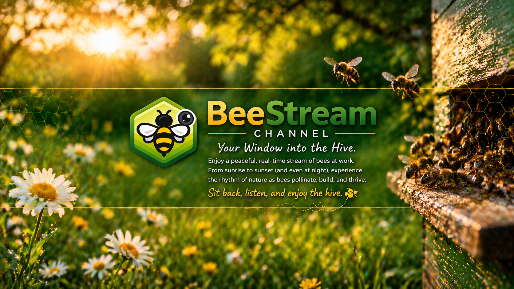 BeeStream YouTube channel banner